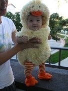 做試管懷孕嬰兒前，男方的檢查項目